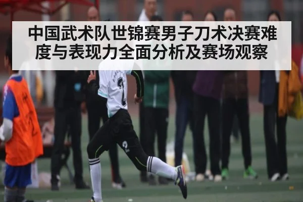 中国武术队世锦赛男子刀术决赛难度与表现力全面分析及赛场观察